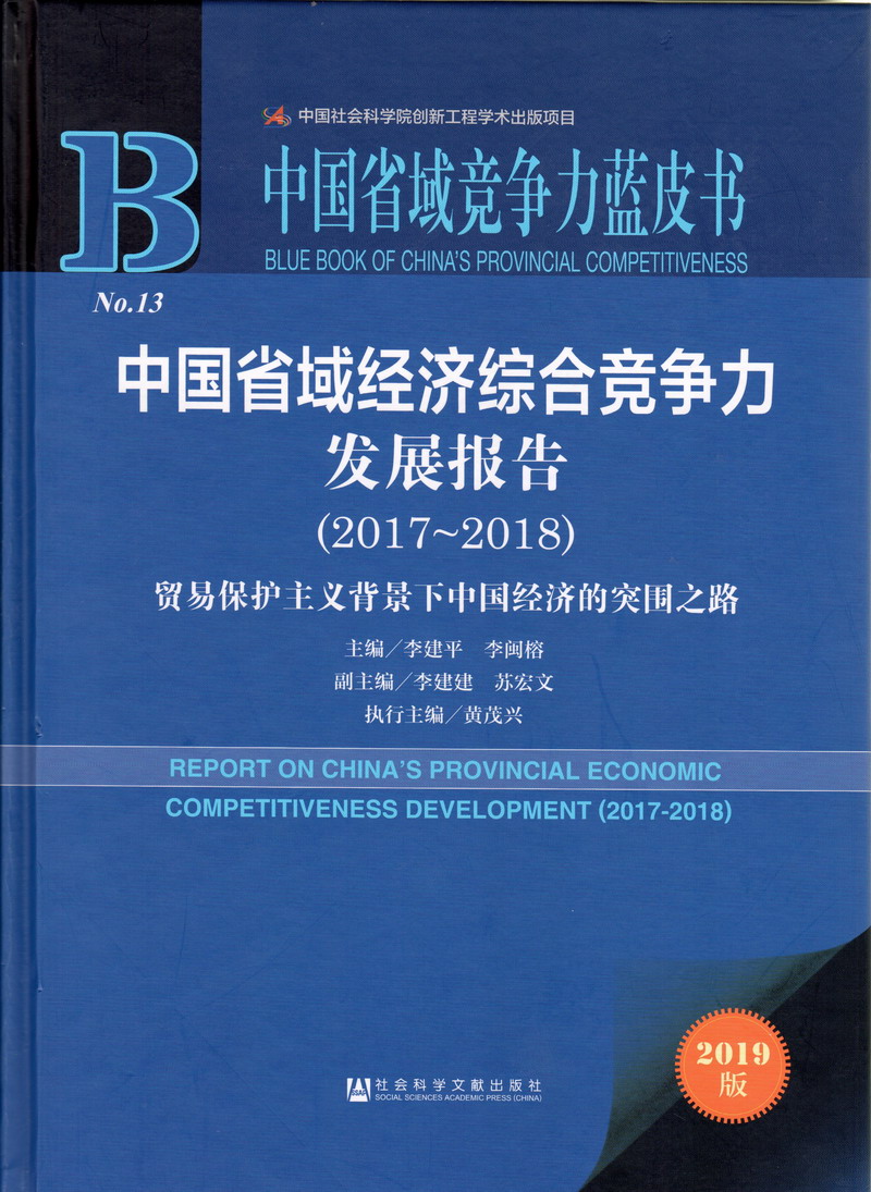 鸡鸡捅逼视频免费中国省域经济综合竞争力发展报告（2017-2018）