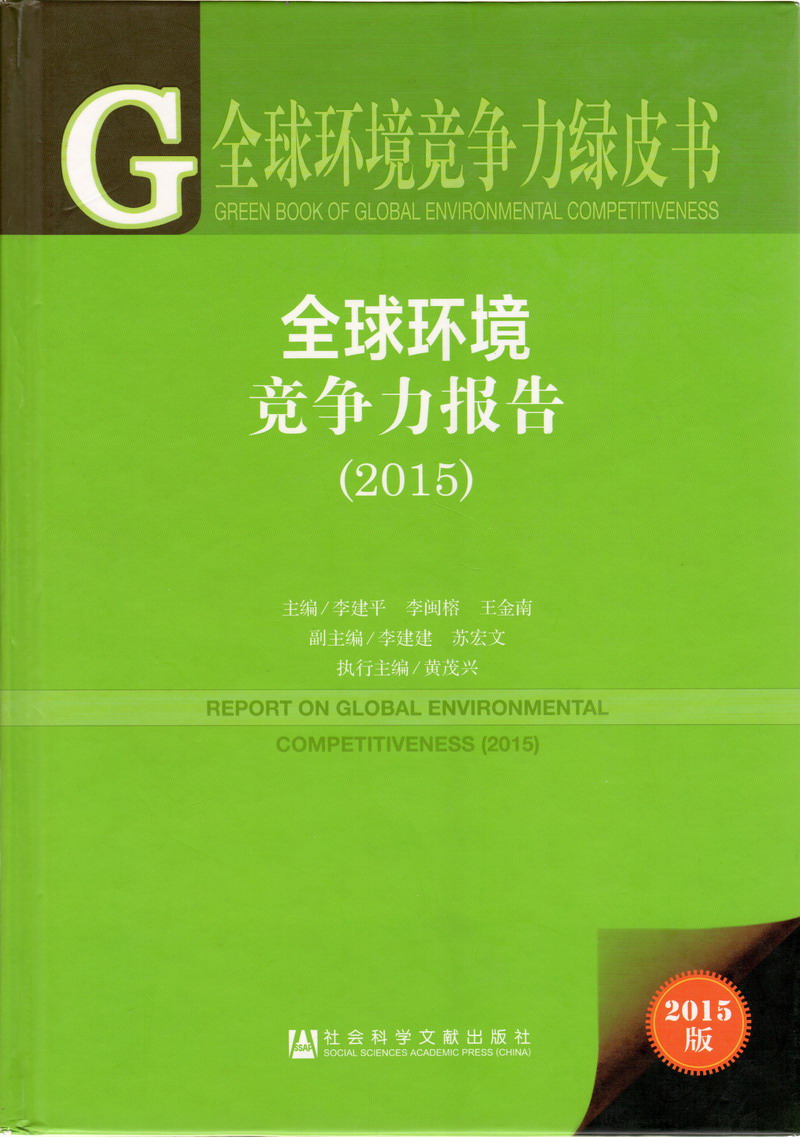 啊啊啊不要操我好爽用力骚逼视频全球环境竞争力报告（2017）